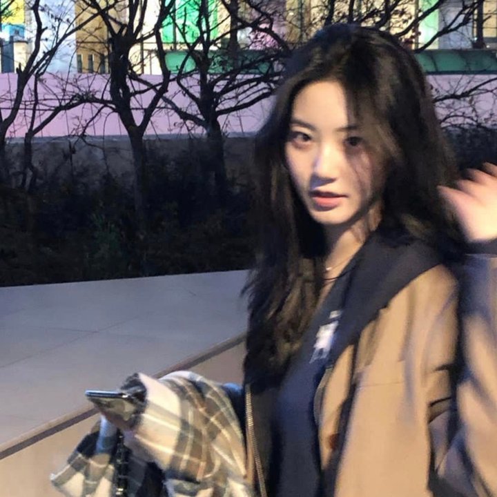 路上的路花